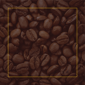 buy-coffee Čekanková káva se špaldou a macou
